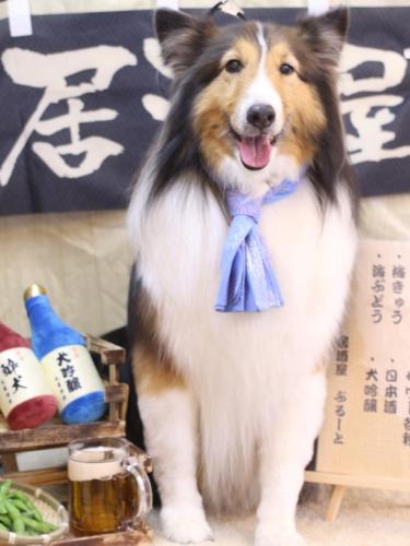 20240606ヒューゴくん